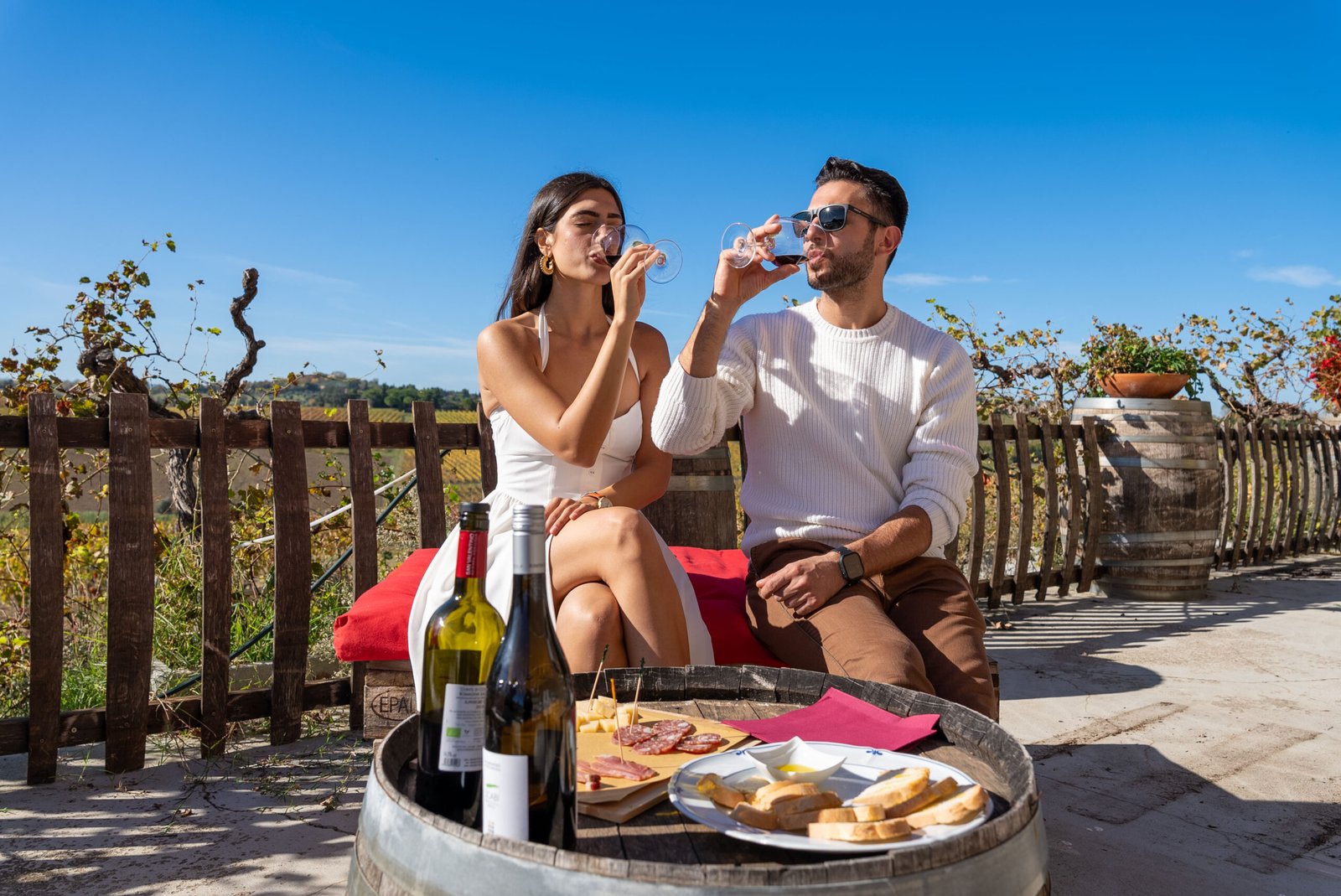 Enogastronomia a Rimini: itinerari in bus tra i borghi Enogastronomia a Rimini: itinerari in bus tra i borghi