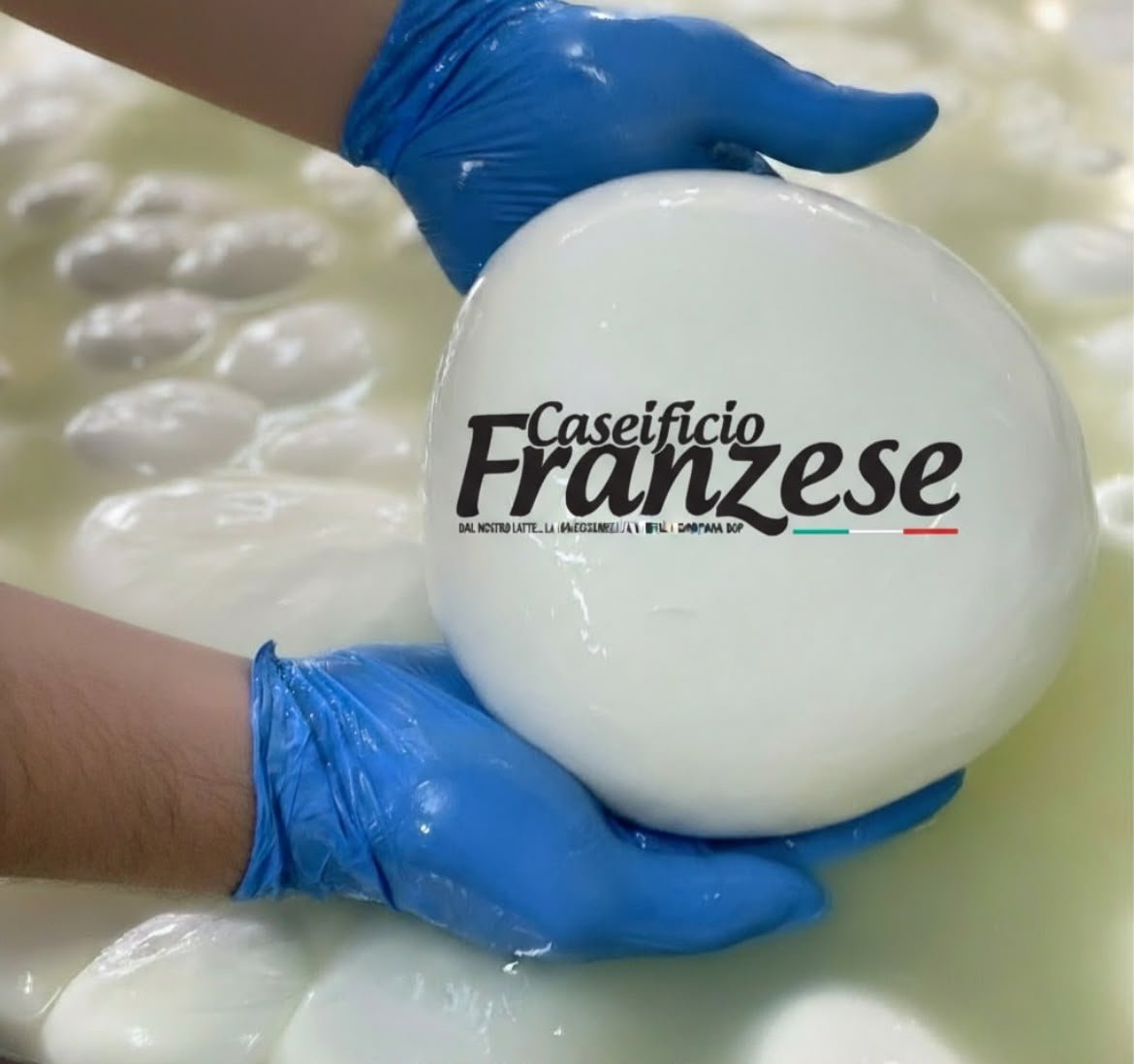 Il Caseificio Franzese tra le eccellenze di Benvenute a Bordo Il Caseificio Franzese tra le eccellenze di Benvenute a Bordo